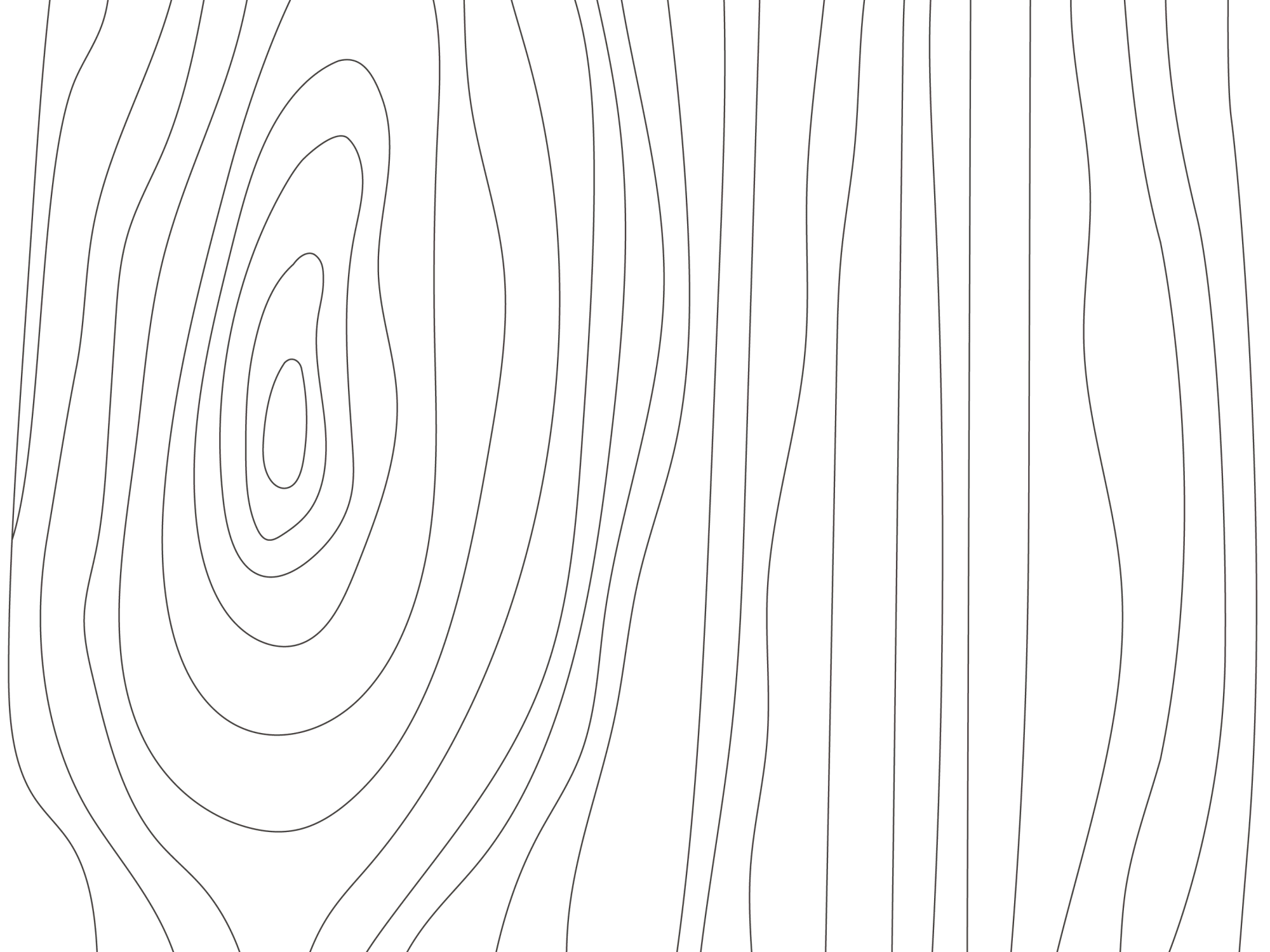grafisches Element - Holzquerschnitt